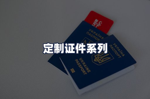 定制证件系列